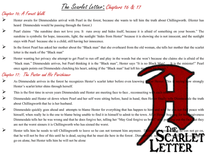 Scarlet letter ch 19 summary