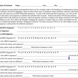 Dna mutation simulation answer key pdf