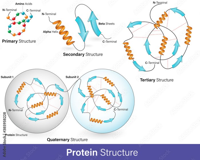 Select the true statements about protein secondary structure