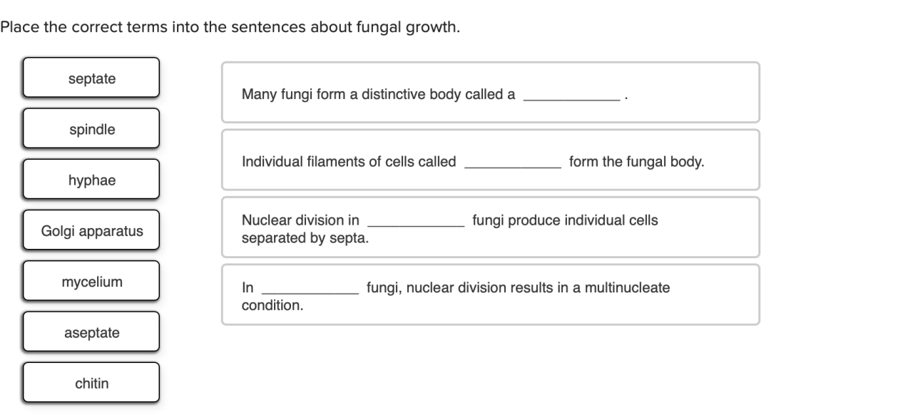 Place the statements regarding fungi into the appropriate columns.