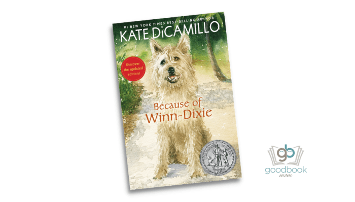 Dixie winn because dicamillo kate activities choose board setting