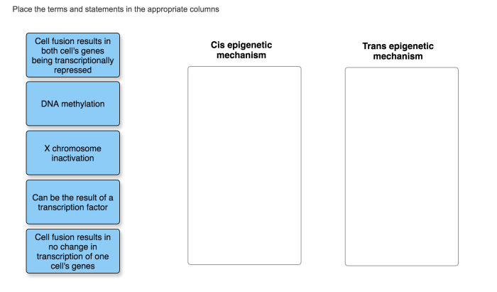 Place the statements regarding fungi into the appropriate columns.